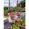 Termoglass- Silver Moose - Bilde 4